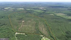 TWIN BRIDGE ROAD (RT. 623) (TRACT: BK3233-2) GREEN BAY Virginia 23942
