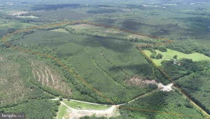 TWIN BRIDGE ROAD (RT. 623) (TRACT: BK3233-1), GREEN BAY, Virginia 23942, ,Farm,For Sale,TWIN BRIDGE ROAD (RT. 623) (TRACT: BK3233-1),VAPE2000098 MLS # VAPE2000098
