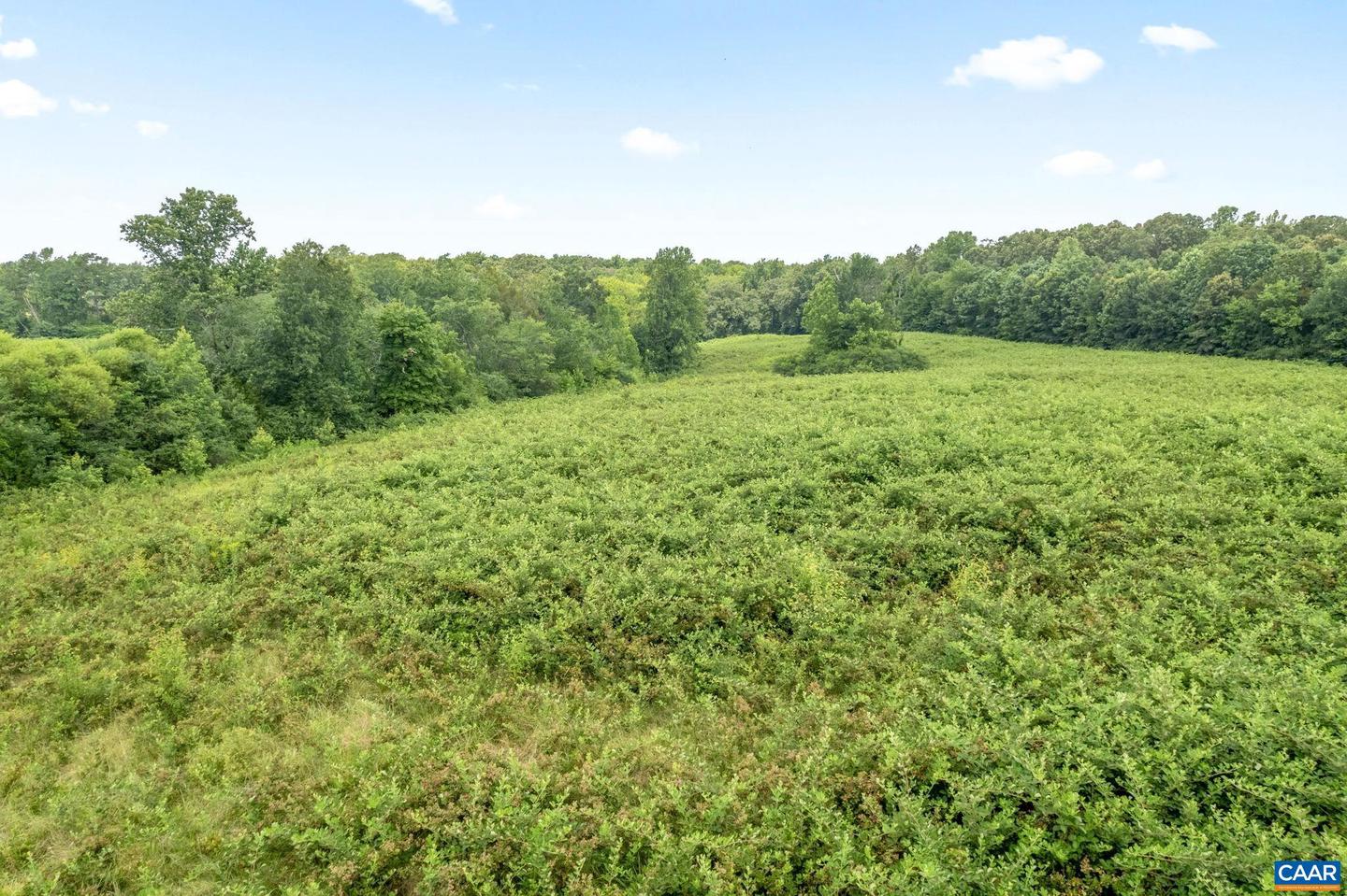 5039 JAMES MADISON HWY, FORK UNION, Virginia 23055, 3 Bedrooms Bedrooms, ,2 BathroomsBathrooms,Residential,For Sale,5039 JAMES MADISON HWY,667065 MLS # 667065