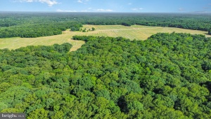 LOT 19 SALEM CHURCH RD, KING GEORGE, Virginia 22485, ,Land,For Sale,LOT 19 SALEM CHURCH RD,VAKG2006820 MLS # VAKG2006820