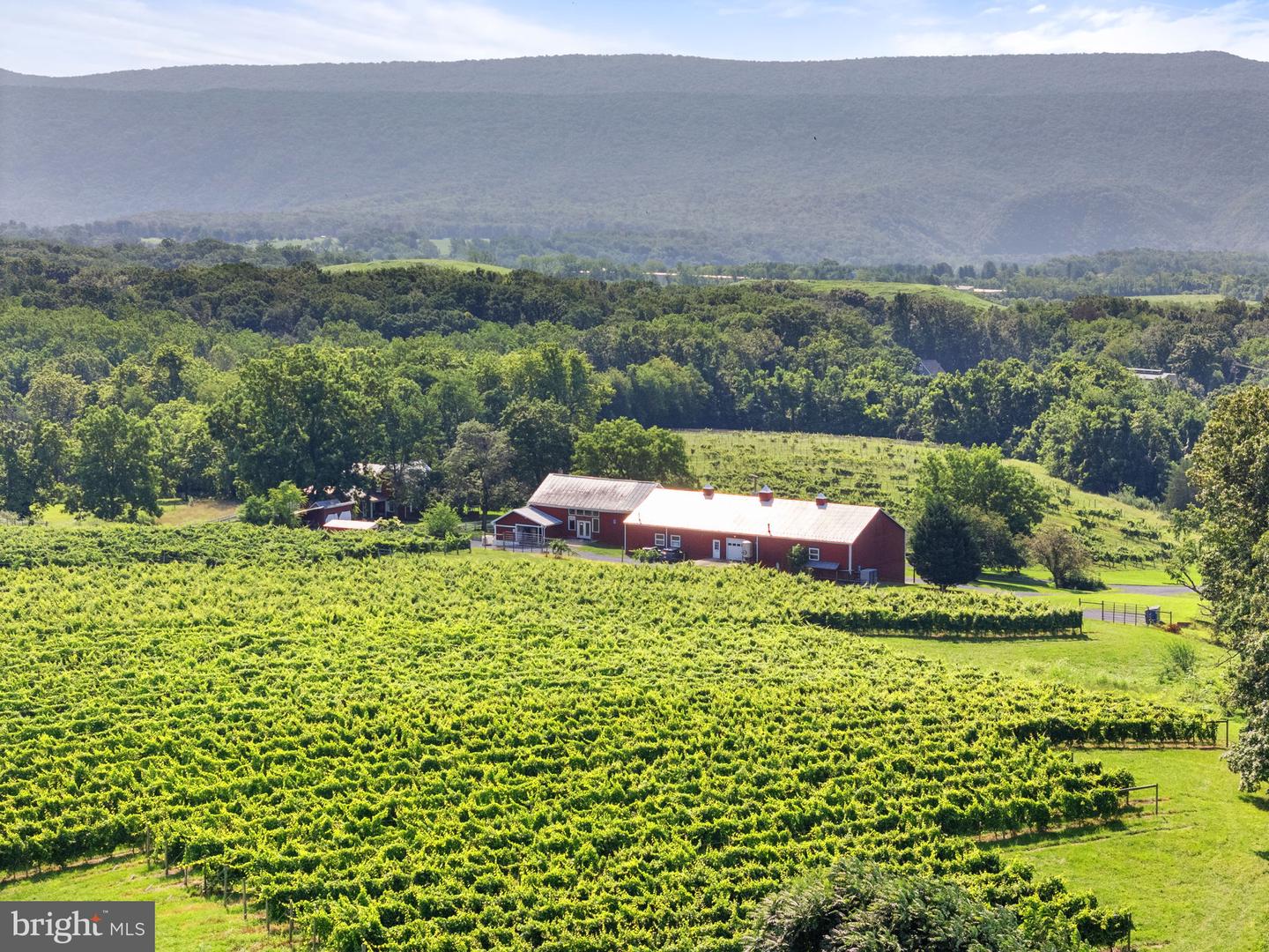 3659 S OX RD, EDINBURG, Virginia 22824, 4 Bedrooms Bedrooms, ,2 BathroomsBathrooms,Residential,For Sale,3659 S OX RD,VASH2011900 MLS # VASH2011900