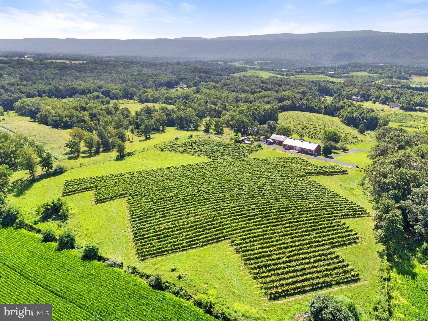 3659 S OX RD, EDINBURG, Virginia 22824, 4 Bedrooms Bedrooms, ,2 BathroomsBathrooms,Residential,For Sale,3659 S OX RD,VASH2011900 MLS # VASH2011900