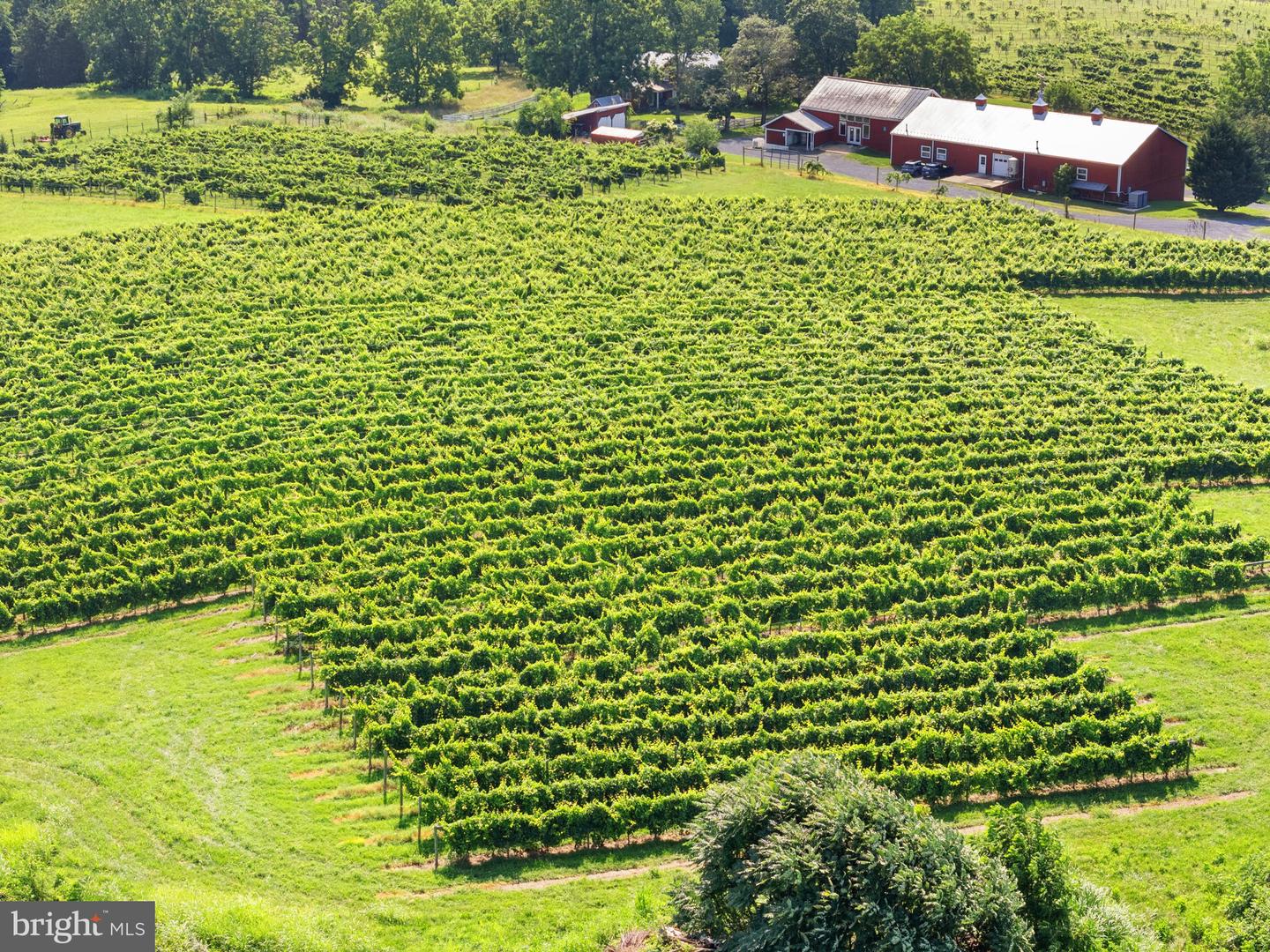 3659 S OX RD, EDINBURG, Virginia 22824, 4 Bedrooms Bedrooms, ,2 BathroomsBathrooms,Residential,For Sale,3659 S OX RD,VASH2011900 MLS # VASH2011900