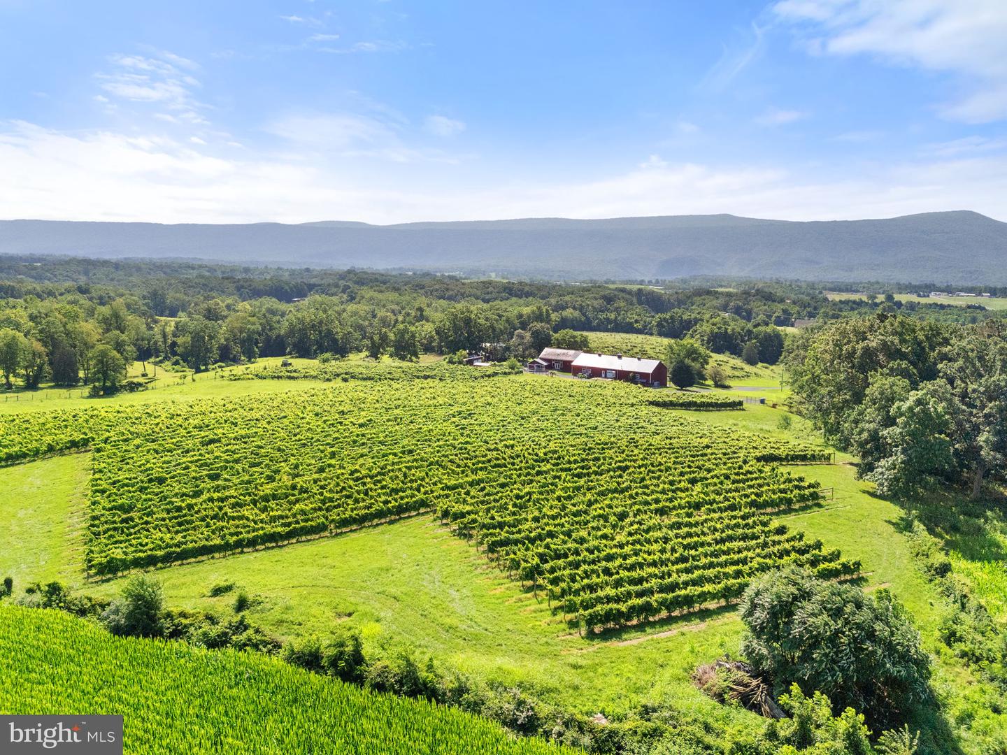 3659 S OX RD, EDINBURG, Virginia 22824, 4 Bedrooms Bedrooms, ,2 BathroomsBathrooms,Residential,For Sale,3659 S OX RD,VASH2011900 MLS # VASH2011900