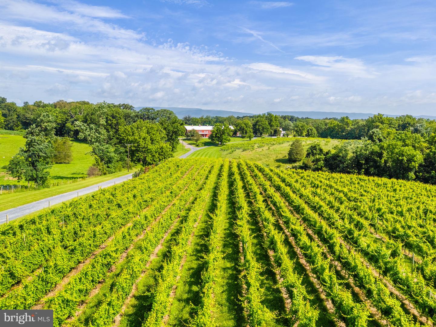 3659 S OX RD, EDINBURG, Virginia 22824, 4 Bedrooms Bedrooms, ,2 BathroomsBathrooms,Residential,For Sale,3659 S OX RD,VASH2011900 MLS # VASH2011900