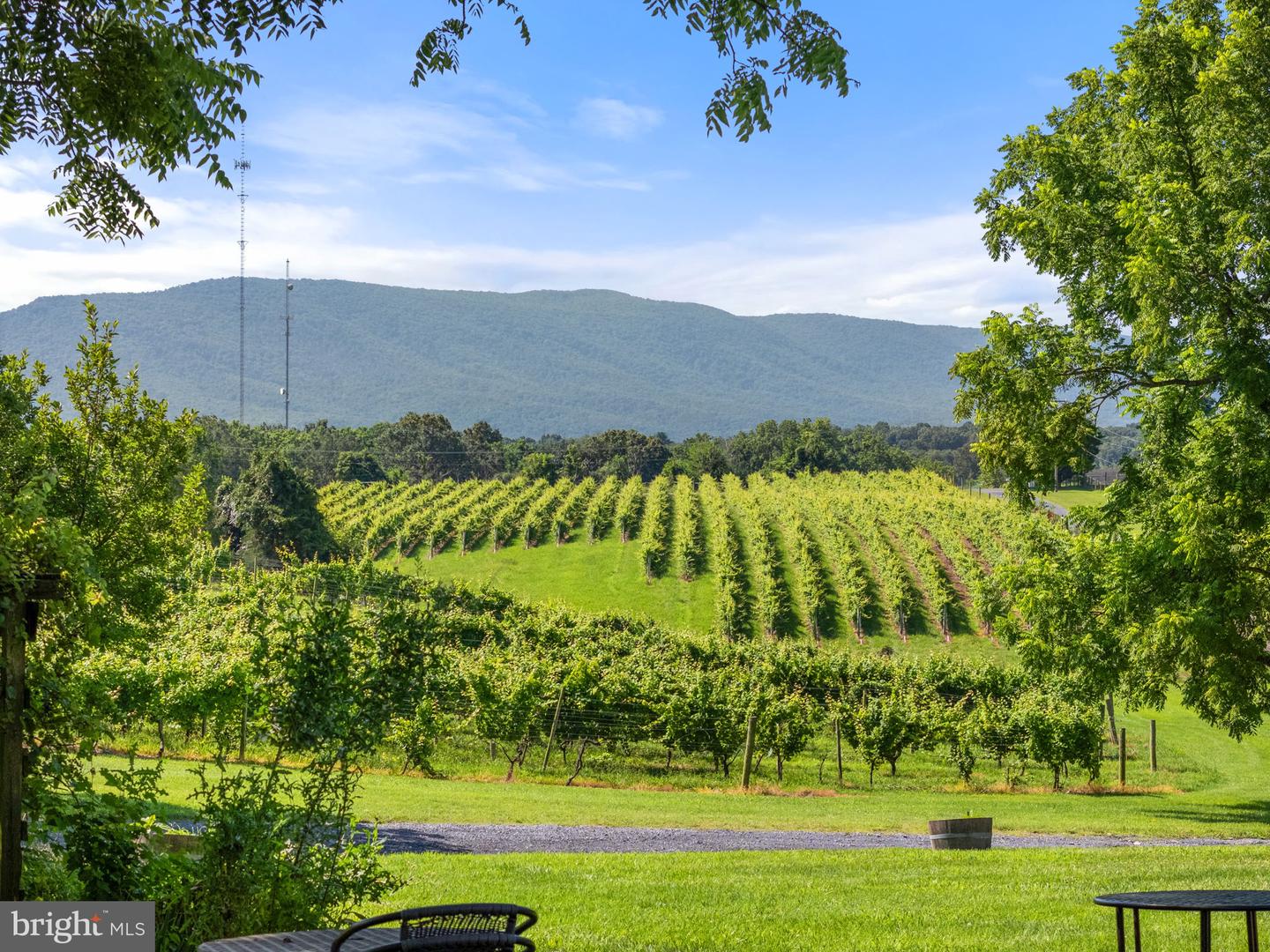 3659 S OX RD, EDINBURG, Virginia 22824, 4 Bedrooms Bedrooms, ,2 BathroomsBathrooms,Residential,For Sale,3659 S OX RD,VASH2011900 MLS # VASH2011900