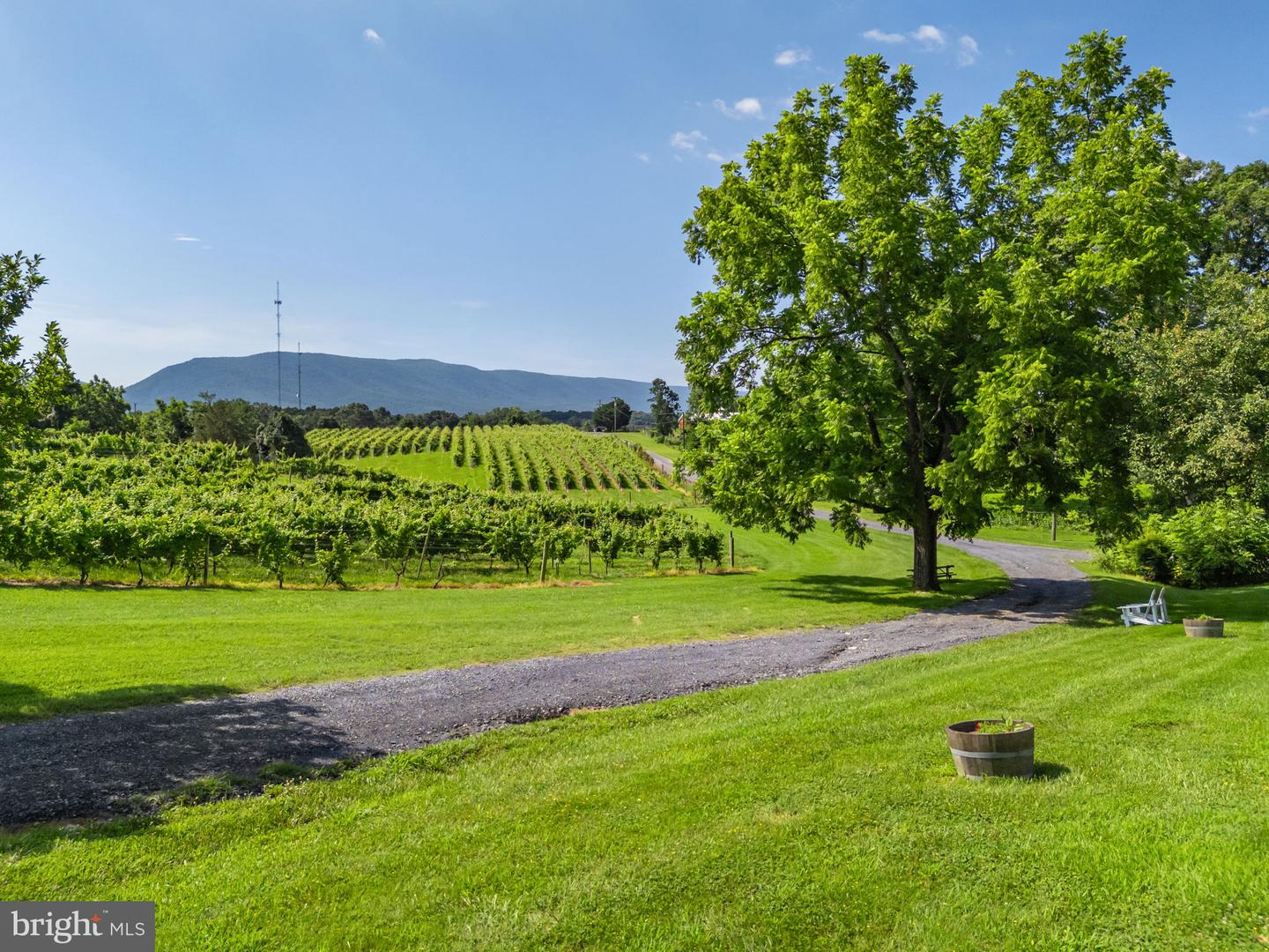 3659 S OX RD, EDINBURG, Virginia 22824, 4 Bedrooms Bedrooms, ,2 BathroomsBathrooms,Residential,For Sale,3659 S OX RD,VASH2011900 MLS # VASH2011900