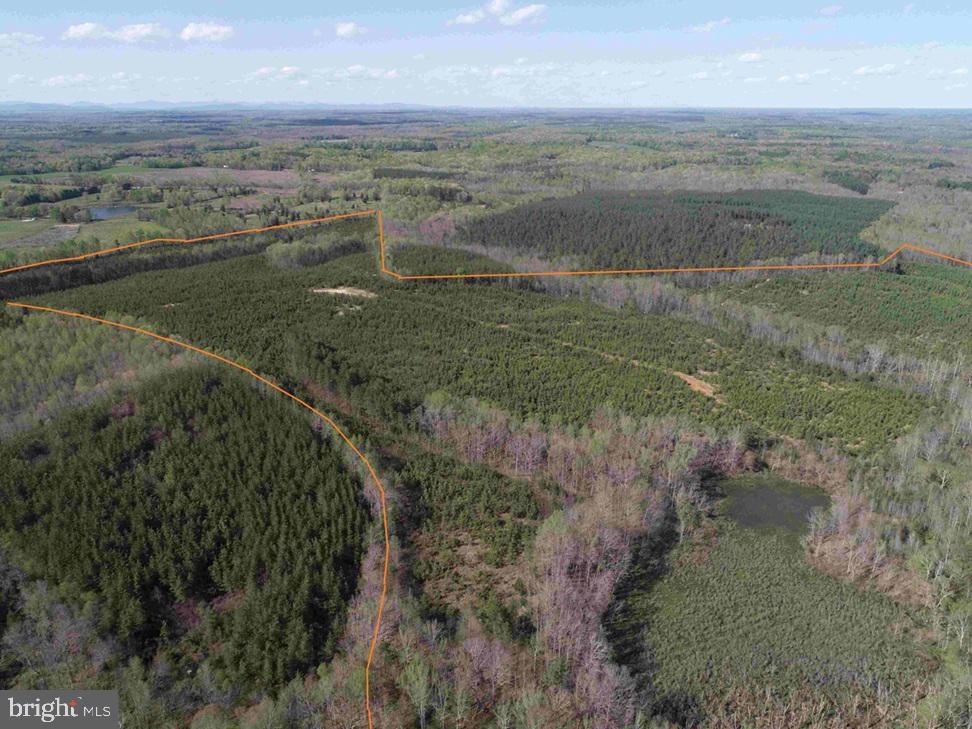 CABELL LANE (TRACT: 5810 THOMAS M. BROOKS), NEW CANTON, Virginia 23123, ,Farm,For Sale,CABELL LANE (TRACT: 5810 THOMAS M. BROOKS),VABH2000204 MLS # VABH2000204 CABELL LANE (TRACT: 5810 THOMAS M. BROOKS), NEW CANTON, Virginia 23123, ,Farm,For Sale,CABELL LANE (TRACT: 5810 THOMAS M. BROOKS),VABH2000204 MLS # VABH2000204