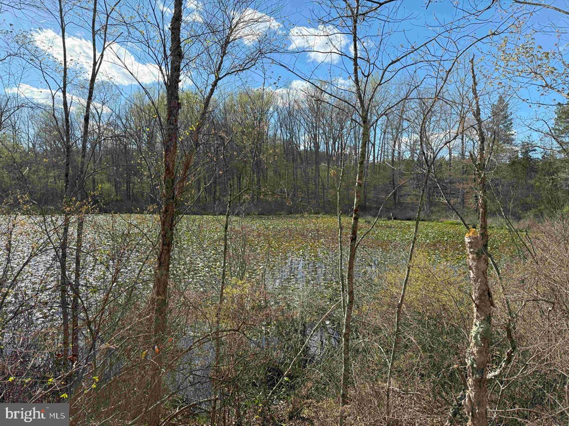 CABELL LANE (TRACT: 5810 THOMAS M. BROOKS), NEW CANTON, Virginia 23123, ,Farm,For Sale,CABELL LANE (TRACT: 5810 THOMAS M. BROOKS),VABH2000204 MLS # VABH2000204 CABELL LANE (TRACT: 5810 THOMAS M. BROOKS), NEW CANTON, Virginia 23123, ,Farm,For Sale,CABELL LANE (TRACT: 5810 THOMAS M. BROOKS),VABH2000204 MLS # VABH2000204