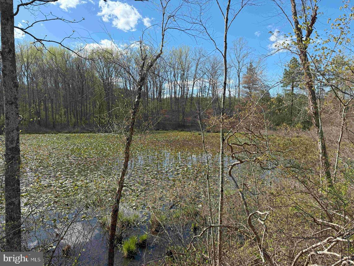 CABELL LANE (TRACT: 5810 THOMAS M. BROOKS), NEW CANTON, Virginia 23123, ,Farm,For Sale,CABELL LANE (TRACT: 5810 THOMAS M. BROOKS),VABH2000204 MLS # VABH2000204 CABELL LANE (TRACT: 5810 THOMAS M. BROOKS), NEW CANTON, Virginia 23123, ,Farm,For Sale,CABELL LANE (TRACT: 5810 THOMAS M. BROOKS),VABH2000204 MLS # VABH2000204