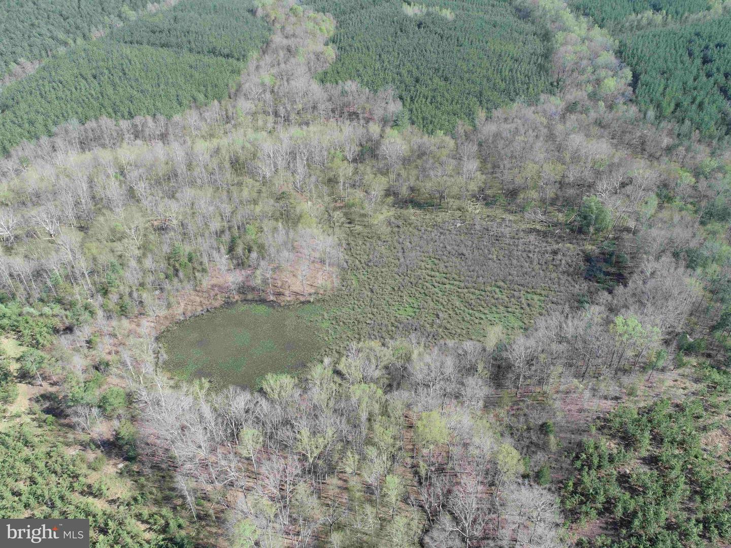 CABELL LANE (TRACT: 5810 THOMAS M. BROOKS), NEW CANTON, Virginia 23123, ,Farm,For Sale,CABELL LANE (TRACT: 5810 THOMAS M. BROOKS),VABH2000204 MLS # VABH2000204 CABELL LANE (TRACT: 5810 THOMAS M. BROOKS), NEW CANTON, Virginia 23123, ,Farm,For Sale,CABELL LANE (TRACT: 5810 THOMAS M. BROOKS),VABH2000204 MLS # VABH2000204