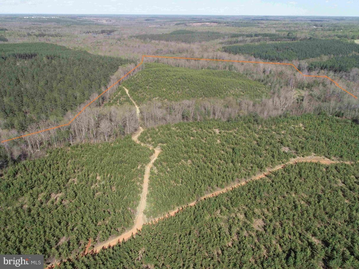 CABELL LANE (TRACT: 5810 THOMAS M. BROOKS), NEW CANTON, Virginia 23123, ,Farm,For Sale,CABELL LANE (TRACT: 5810 THOMAS M. BROOKS),VABH2000204 MLS # VABH2000204 CABELL LANE (TRACT: 5810 THOMAS M. BROOKS), NEW CANTON, Virginia 23123, ,Farm,For Sale,CABELL LANE (TRACT: 5810 THOMAS M. BROOKS),VABH2000204 MLS # VABH2000204