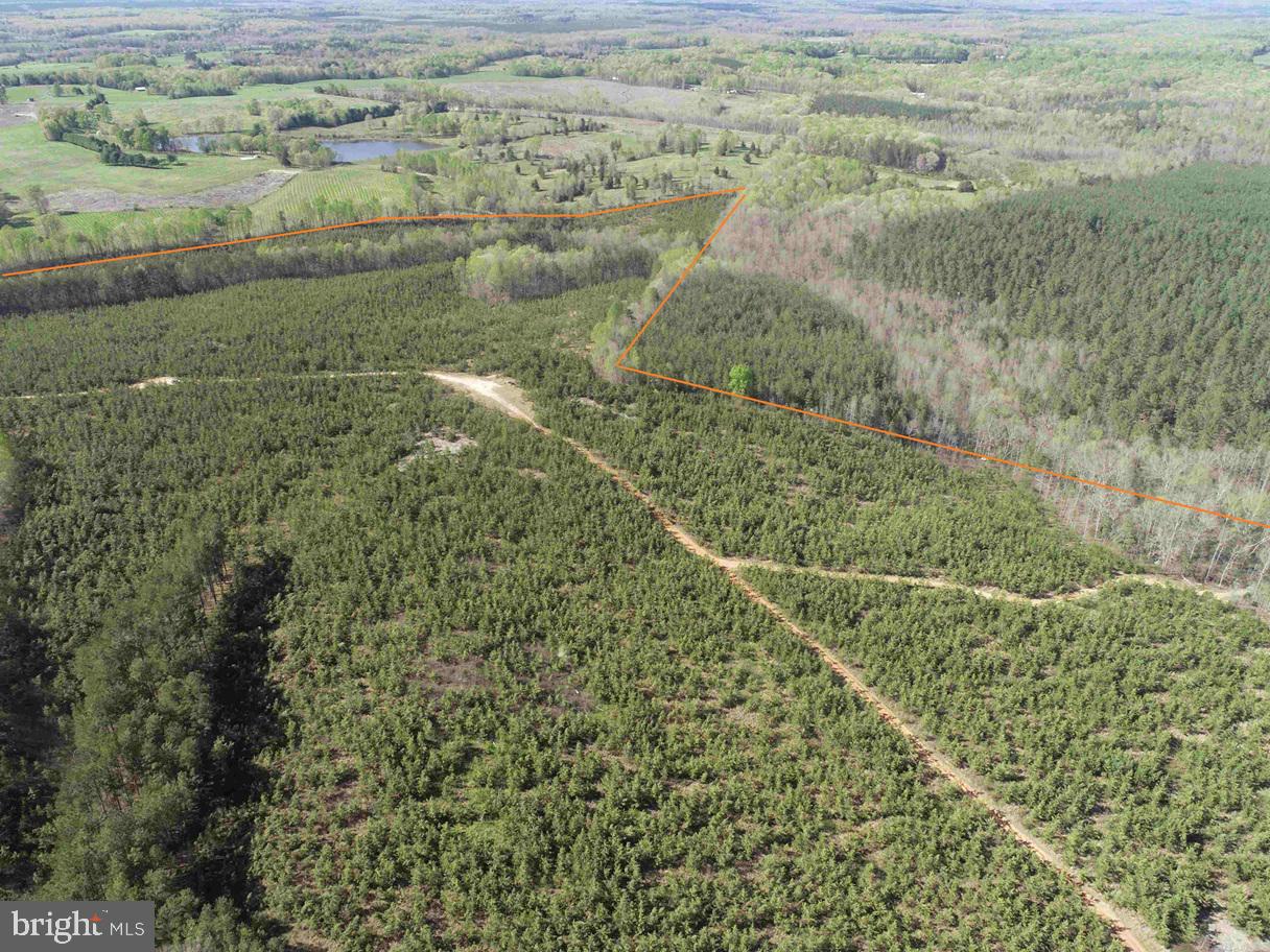 CABELL LANE (TRACT: 5810 THOMAS M. BROOKS), NEW CANTON, Virginia 23123, ,Farm,For Sale,CABELL LANE (TRACT: 5810 THOMAS M. BROOKS),VABH2000204 MLS # VABH2000204 CABELL LANE (TRACT: 5810 THOMAS M. BROOKS), NEW CANTON, Virginia 23123, ,Farm,For Sale,CABELL LANE (TRACT: 5810 THOMAS M. BROOKS),VABH2000204 MLS # VABH2000204