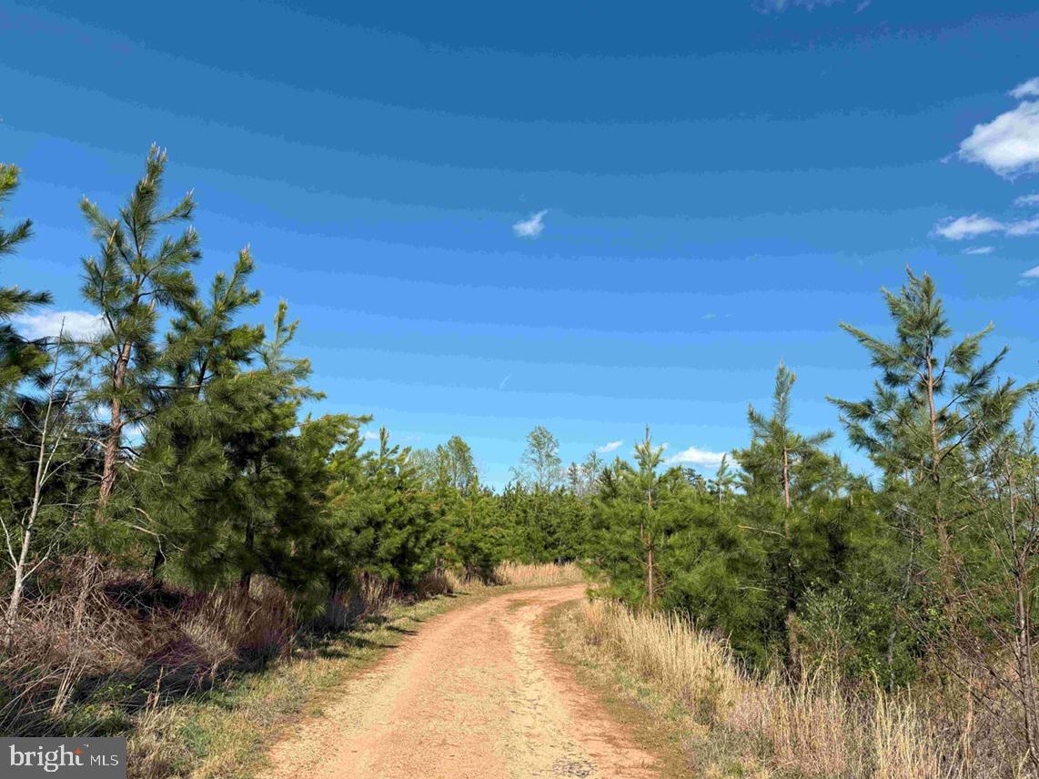 CABELL LANE (TRACT: 5810 THOMAS M. BROOKS), NEW CANTON, Virginia 23123, ,Farm,For Sale,CABELL LANE (TRACT: 5810 THOMAS M. BROOKS),VABH2000204 MLS # VABH2000204 CABELL LANE (TRACT: 5810 THOMAS M. BROOKS), NEW CANTON, Virginia 23123, ,Farm,For Sale,CABELL LANE (TRACT: 5810 THOMAS M. BROOKS),VABH2000204 MLS # VABH2000204