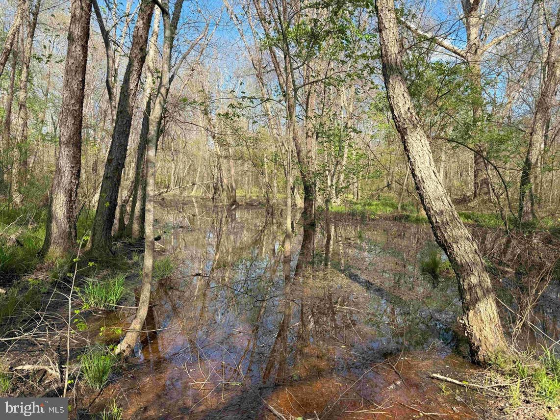 CABELL LANE (TRACT: 5810 THOMAS M. BROOKS), NEW CANTON, Virginia 23123, ,Farm,For Sale,CABELL LANE (TRACT: 5810 THOMAS M. BROOKS),VABH2000204 MLS # VABH2000204 CABELL LANE (TRACT: 5810 THOMAS M. BROOKS), NEW CANTON, Virginia 23123, ,Farm,For Sale,CABELL LANE (TRACT: 5810 THOMAS M. BROOKS),VABH2000204 MLS # VABH2000204
