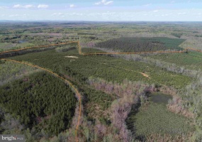 CABELL LANE (TRACT: 5810 THOMAS M. BROOKS), NEW CANTON, Virginia 23123, ,Farm,For Sale,CABELL LANE (TRACT: 5810 THOMAS M. BROOKS),VABH2000204 MLS # VABH2000204 CABELL LANE (TRACT: 5810 THOMAS M. BROOKS), NEW CANTON, Virginia 23123, ,Farm,For Sale,CABELL LANE (TRACT: 5810 THOMAS M. BROOKS),VABH2000204 MLS # VABH2000204