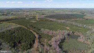 CABELL LANE (TRACT: 5810 THOMAS M. BROOKS) NEW CANTON Virginia 23123