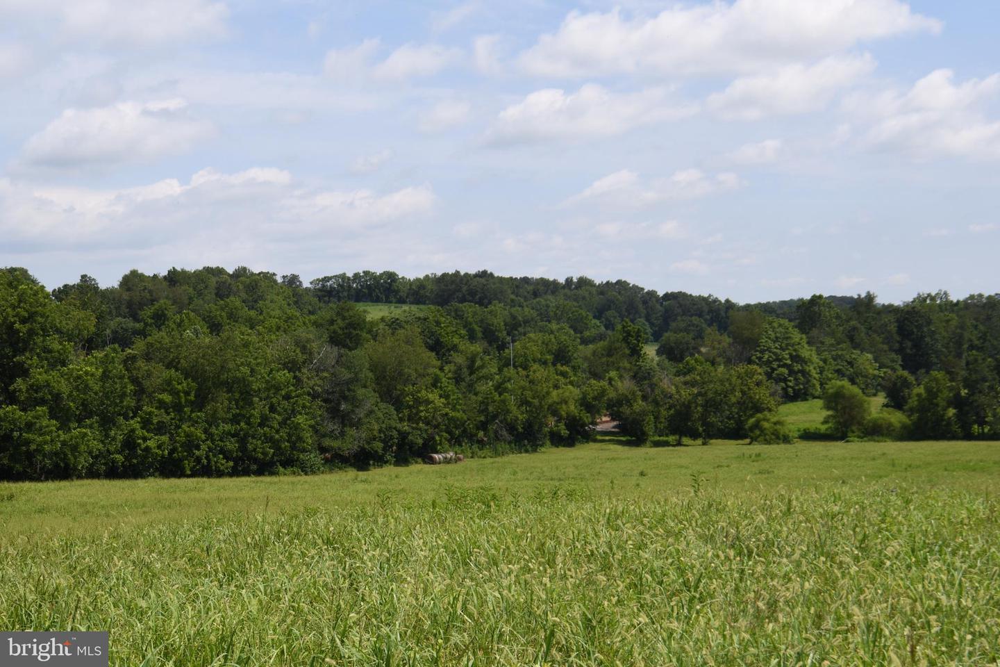 2919 ROKEBY RD, DELAPLANE, Virginia 20144, ,Land,For Sale,2919 ROKEBY RD,VAFQ2017808 MLS # VAFQ2017808 2919 ROKEBY RD, DELAPLANE, Virginia 20144, ,Land,For Sale,2919 ROKEBY RD,VAFQ2017808 MLS # VAFQ2017808