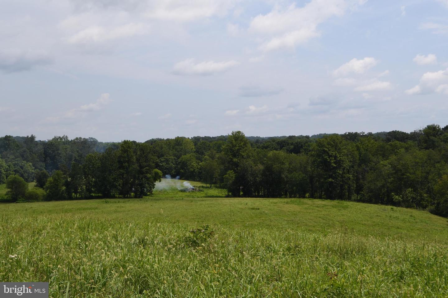 2919 ROKEBY RD, DELAPLANE, Virginia 20144, ,Land,For Sale,2919 ROKEBY RD,VAFQ2017808 MLS # VAFQ2017808 2919 ROKEBY RD, DELAPLANE, Virginia 20144, ,Land,For Sale,2919 ROKEBY RD,VAFQ2017808 MLS # VAFQ2017808