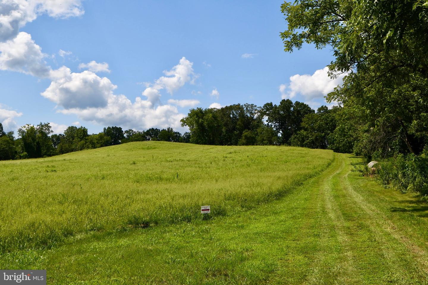 2919 ROKEBY RD, DELAPLANE, Virginia 20144, ,Land,For Sale,2919 ROKEBY RD,VAFQ2017808 MLS # VAFQ2017808 2919 ROKEBY RD, DELAPLANE, Virginia 20144, ,Land,For Sale,2919 ROKEBY RD,VAFQ2017808 MLS # VAFQ2017808