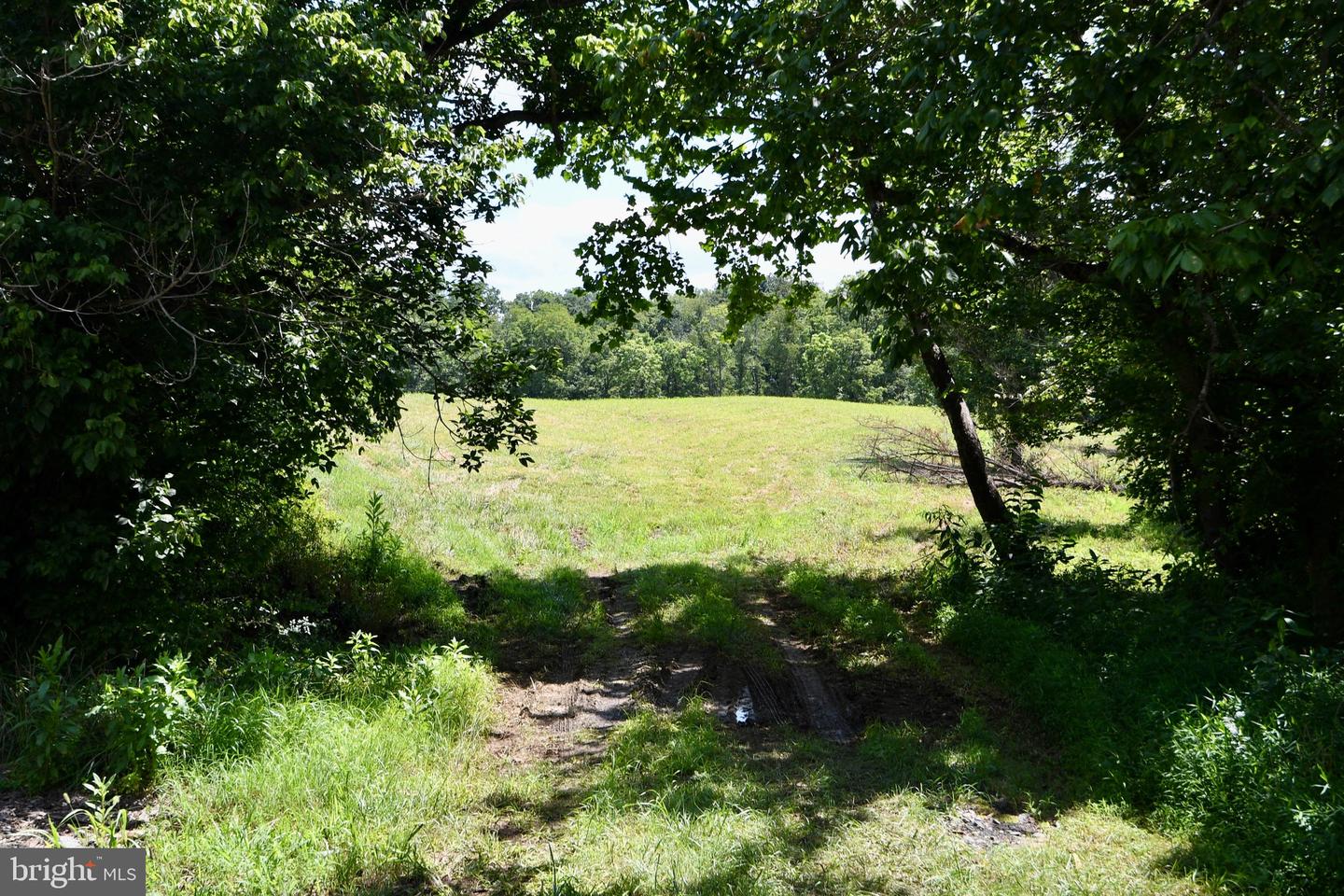 2919 ROKEBY RD, DELAPLANE, Virginia 20144, ,Land,For Sale,2919 ROKEBY RD,VAFQ2017808 MLS # VAFQ2017808 2919 ROKEBY RD, DELAPLANE, Virginia 20144, ,Land,For Sale,2919 ROKEBY RD,VAFQ2017808 MLS # VAFQ2017808