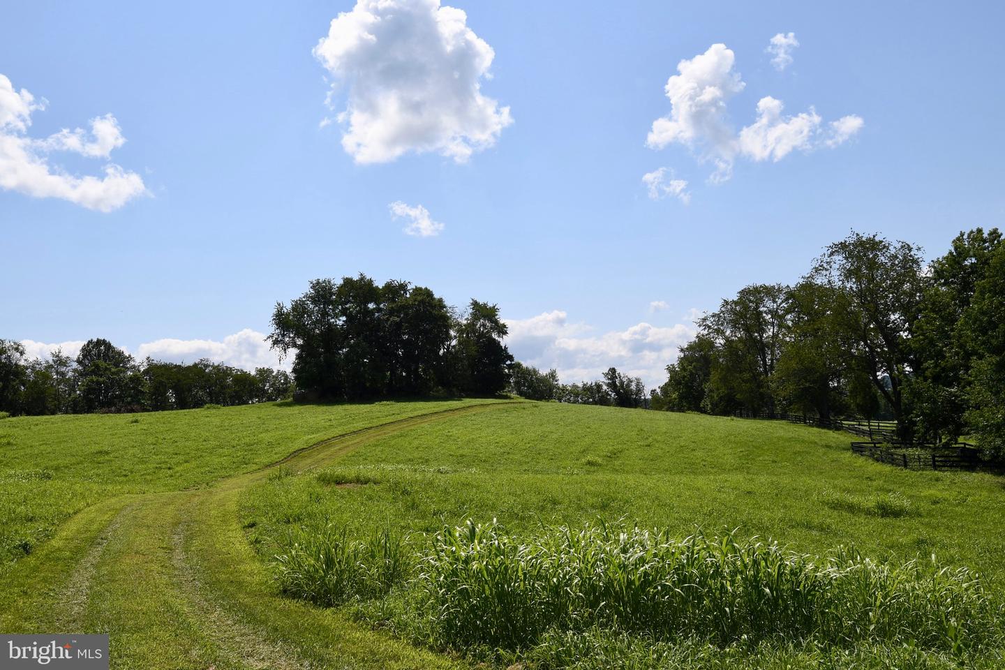 2919 ROKEBY RD, DELAPLANE, Virginia 20144, ,Land,For Sale,2919 ROKEBY RD,VAFQ2017808 MLS # VAFQ2017808 2919 ROKEBY RD, DELAPLANE, Virginia 20144, ,Land,For Sale,2919 ROKEBY RD,VAFQ2017808 MLS # VAFQ2017808