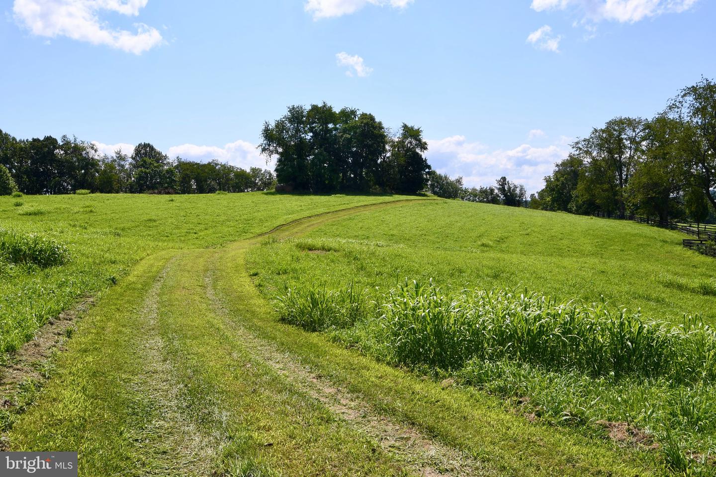 2919 ROKEBY RD, DELAPLANE, Virginia 20144, ,Land,For Sale,2919 ROKEBY RD,VAFQ2017808 MLS # VAFQ2017808 2919 ROKEBY RD, DELAPLANE, Virginia 20144, ,Land,For Sale,2919 ROKEBY RD,VAFQ2017808 MLS # VAFQ2017808