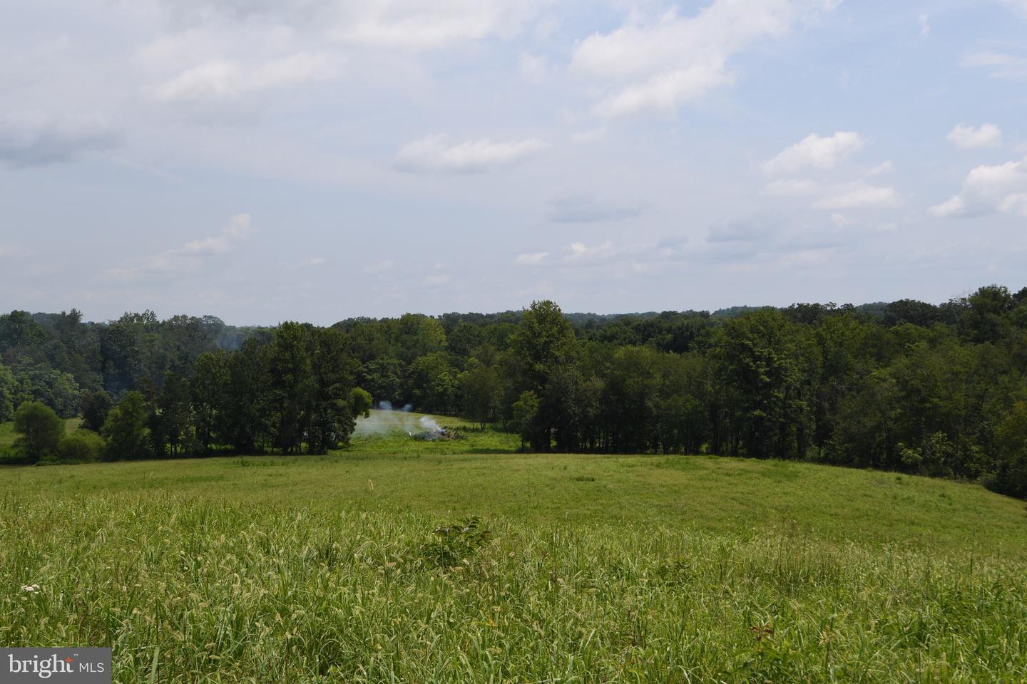 2919 ROKEBY RD, DELAPLANE, Virginia 20144, ,Land,For Sale,2919 ROKEBY RD,VAFQ2017808 MLS # VAFQ2017808 2919 ROKEBY RD, DELAPLANE, Virginia 20144, ,Land,For Sale,2919 ROKEBY RD,VAFQ2017808 MLS # VAFQ2017808