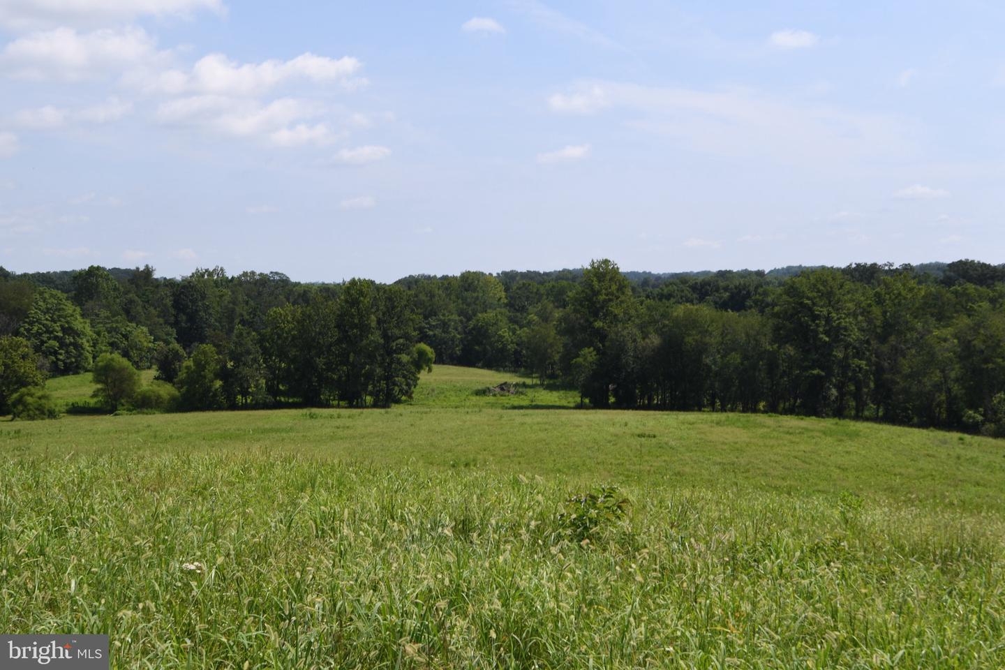 2919 ROKEBY RD, DELAPLANE, Virginia 20144, ,Land,For Sale,2919 ROKEBY RD,VAFQ2017808 MLS # VAFQ2017808 2919 ROKEBY RD, DELAPLANE, Virginia 20144, ,Land,For Sale,2919 ROKEBY RD,VAFQ2017808 MLS # VAFQ2017808