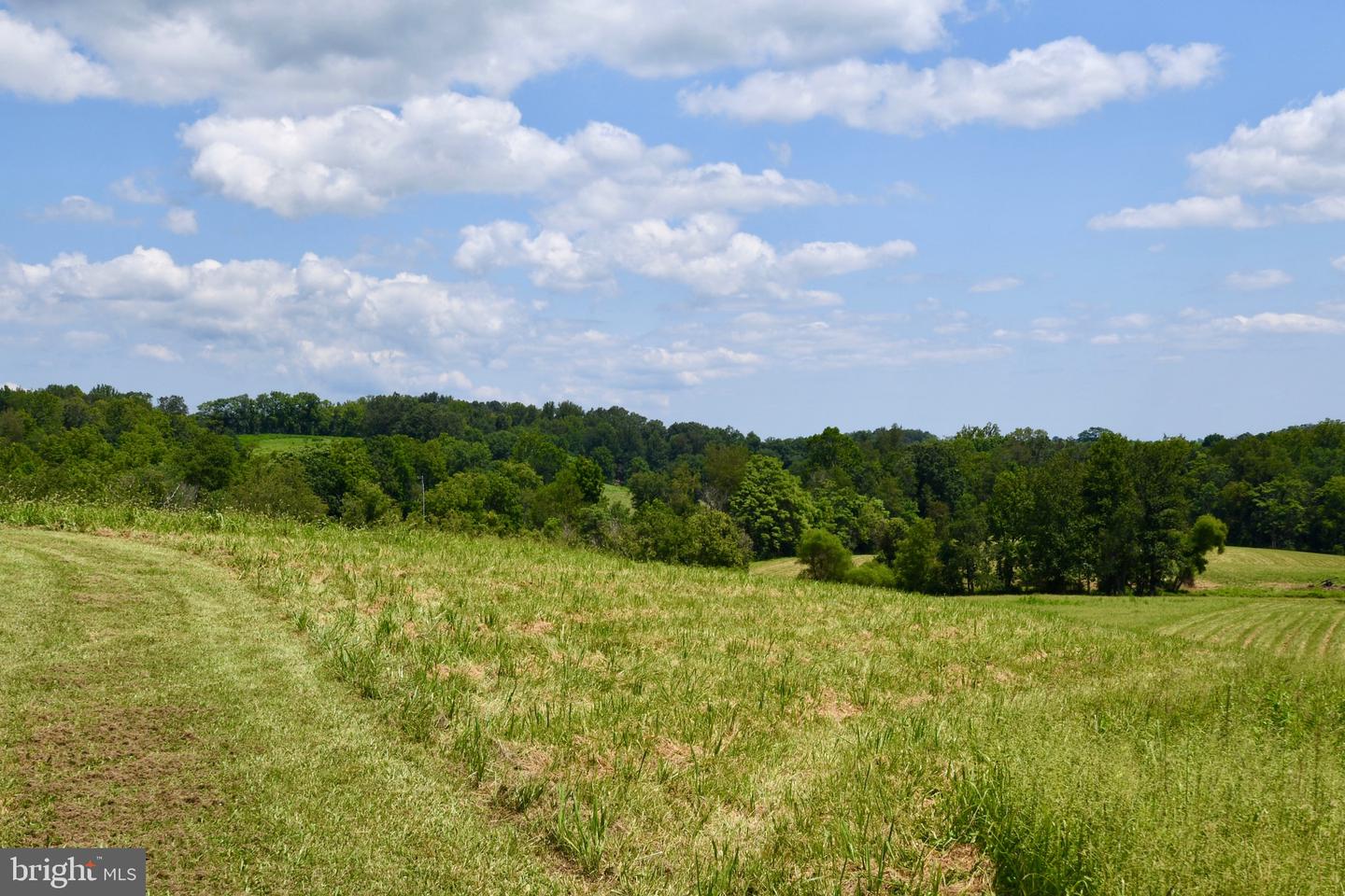 2919 ROKEBY RD, DELAPLANE, Virginia 20144, ,Land,For Sale,2919 ROKEBY RD,VAFQ2017808 MLS # VAFQ2017808 2919 ROKEBY RD, DELAPLANE, Virginia 20144, ,Land,For Sale,2919 ROKEBY RD,VAFQ2017808 MLS # VAFQ2017808