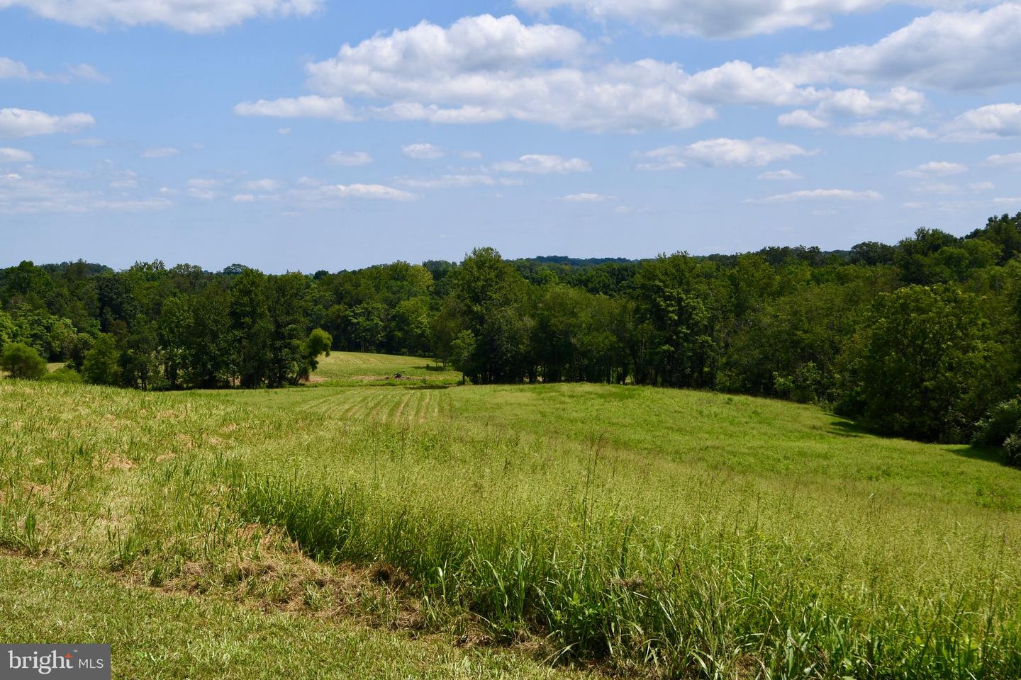 2919 ROKEBY RD, DELAPLANE, Virginia 20144, ,Land,For Sale,2919 ROKEBY RD,VAFQ2017808 MLS # VAFQ2017808 2919 ROKEBY RD, DELAPLANE, Virginia 20144, ,Land,For Sale,2919 ROKEBY RD,VAFQ2017808 MLS # VAFQ2017808