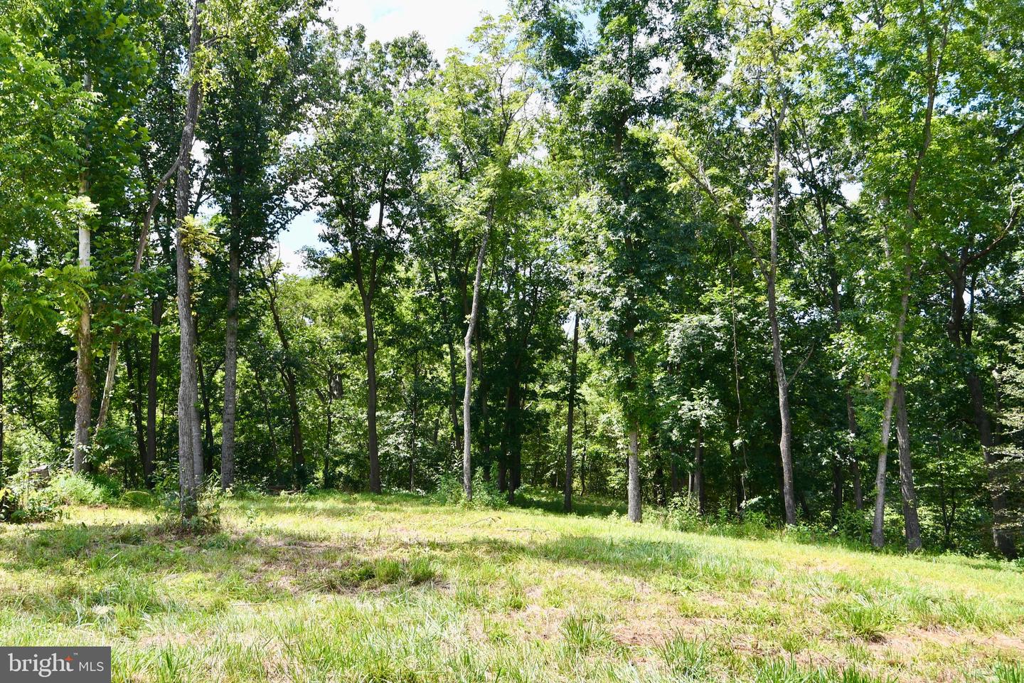 2919 ROKEBY RD, DELAPLANE, Virginia 20144, ,Land,For Sale,2919 ROKEBY RD,VAFQ2017808 MLS # VAFQ2017808 2919 ROKEBY RD, DELAPLANE, Virginia 20144, ,Land,For Sale,2919 ROKEBY RD,VAFQ2017808 MLS # VAFQ2017808