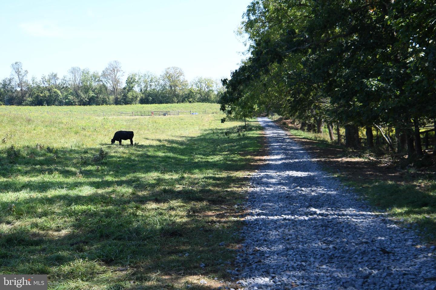 2919 ROKEBY RD, DELAPLANE, Virginia 20144, ,Land,For Sale,2919 ROKEBY RD,VAFQ2017808 MLS # VAFQ2017808 2919 ROKEBY RD, DELAPLANE, Virginia 20144, ,Land,For Sale,2919 ROKEBY RD,VAFQ2017808 MLS # VAFQ2017808