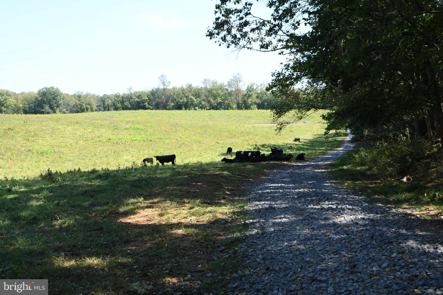 2919 ROKEBY RD, DELAPLANE, Virginia 20144, ,Land,For Sale,2919 ROKEBY RD,VAFQ2017808 MLS # VAFQ2017808 2919 ROKEBY RD, DELAPLANE, Virginia 20144, ,Land,For Sale,2919 ROKEBY RD,VAFQ2017808 MLS # VAFQ2017808