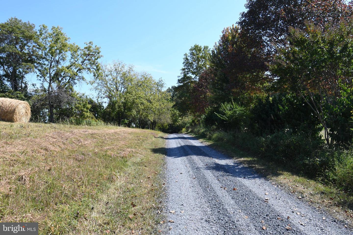 2919 ROKEBY RD, DELAPLANE, Virginia 20144, ,Land,For Sale,2919 ROKEBY RD,VAFQ2017808 MLS # VAFQ2017808 2919 ROKEBY RD, DELAPLANE, Virginia 20144, ,Land,For Sale,2919 ROKEBY RD,VAFQ2017808 MLS # VAFQ2017808