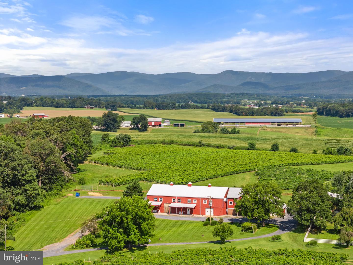 3659 S OX RD, EDINBURG, Virginia 22824, ,Land,For Sale,3659 S OX RD,VASH2012160 MLS # VASH2012160 3659 S OX RD, EDINBURG, Virginia 22824, ,Land,For Sale,3659 S OX RD,VASH2012160 MLS # VASH2012160