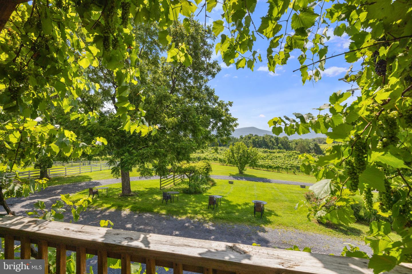 3659 S OX RD, EDINBURG, Virginia 22824, ,Land,For Sale,3659 S OX RD,VASH2012160 MLS # VASH2012160 3659 S OX RD, EDINBURG, Virginia 22824, ,Land,For Sale,3659 S OX RD,VASH2012160 MLS # VASH2012160