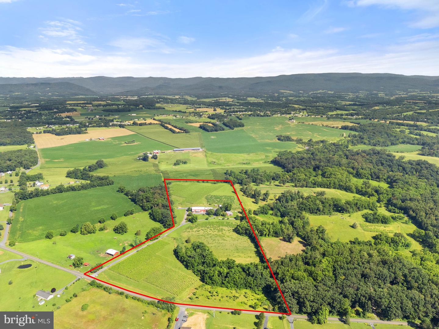 3659 S OX RD, EDINBURG, Virginia 22824, ,Land,For Sale,3659 S OX RD,VASH2012160 MLS # VASH2012160 3659 S OX RD, EDINBURG, Virginia 22824, ,Land,For Sale,3659 S OX RD,VASH2012160 MLS # VASH2012160