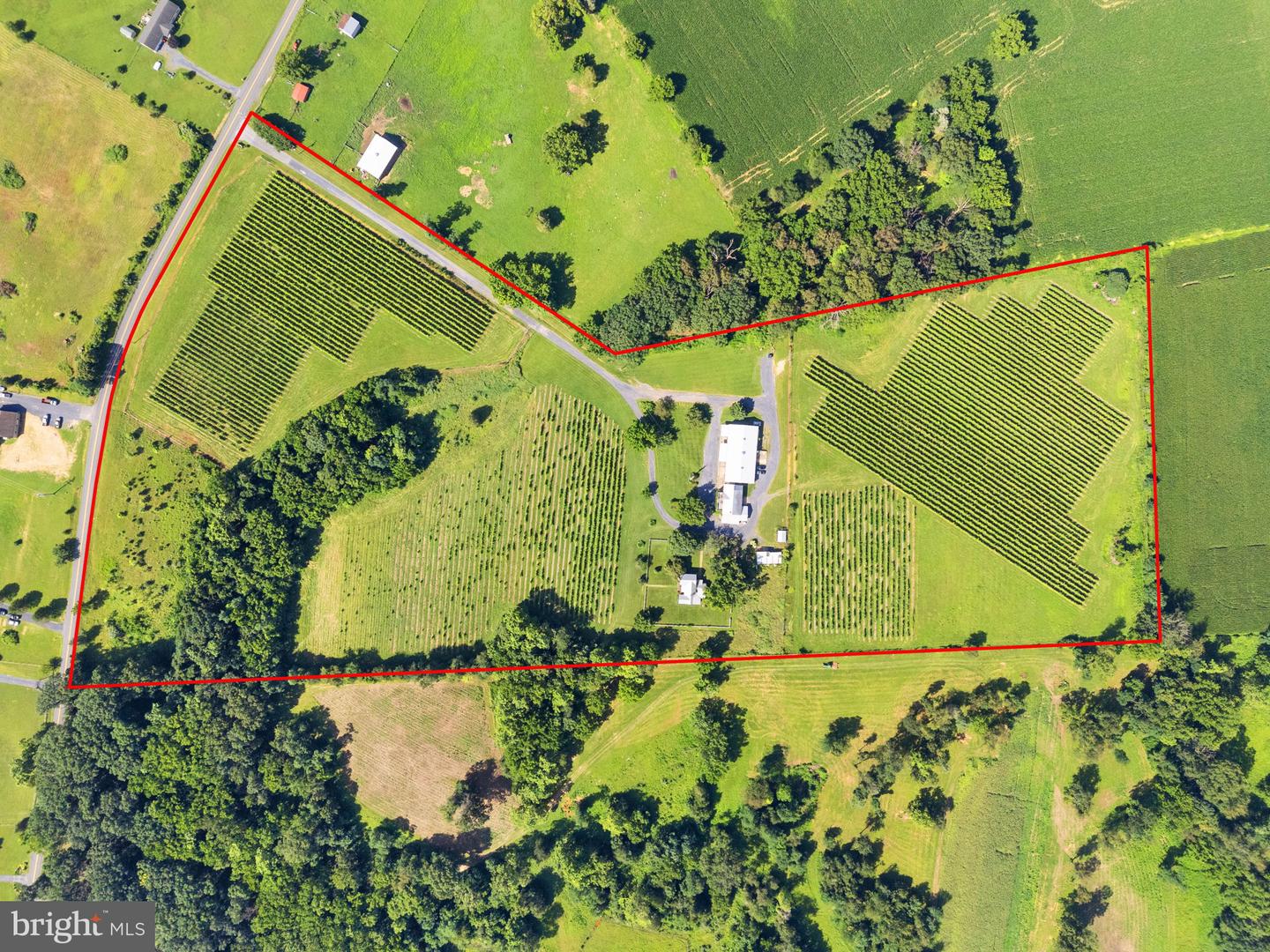 3659 S OX RD, EDINBURG, Virginia 22824, ,Land,For Sale,3659 S OX RD,VASH2012160 MLS # VASH2012160 3659 S OX RD, EDINBURG, Virginia 22824, ,Land,For Sale,3659 S OX RD,VASH2012160 MLS # VASH2012160