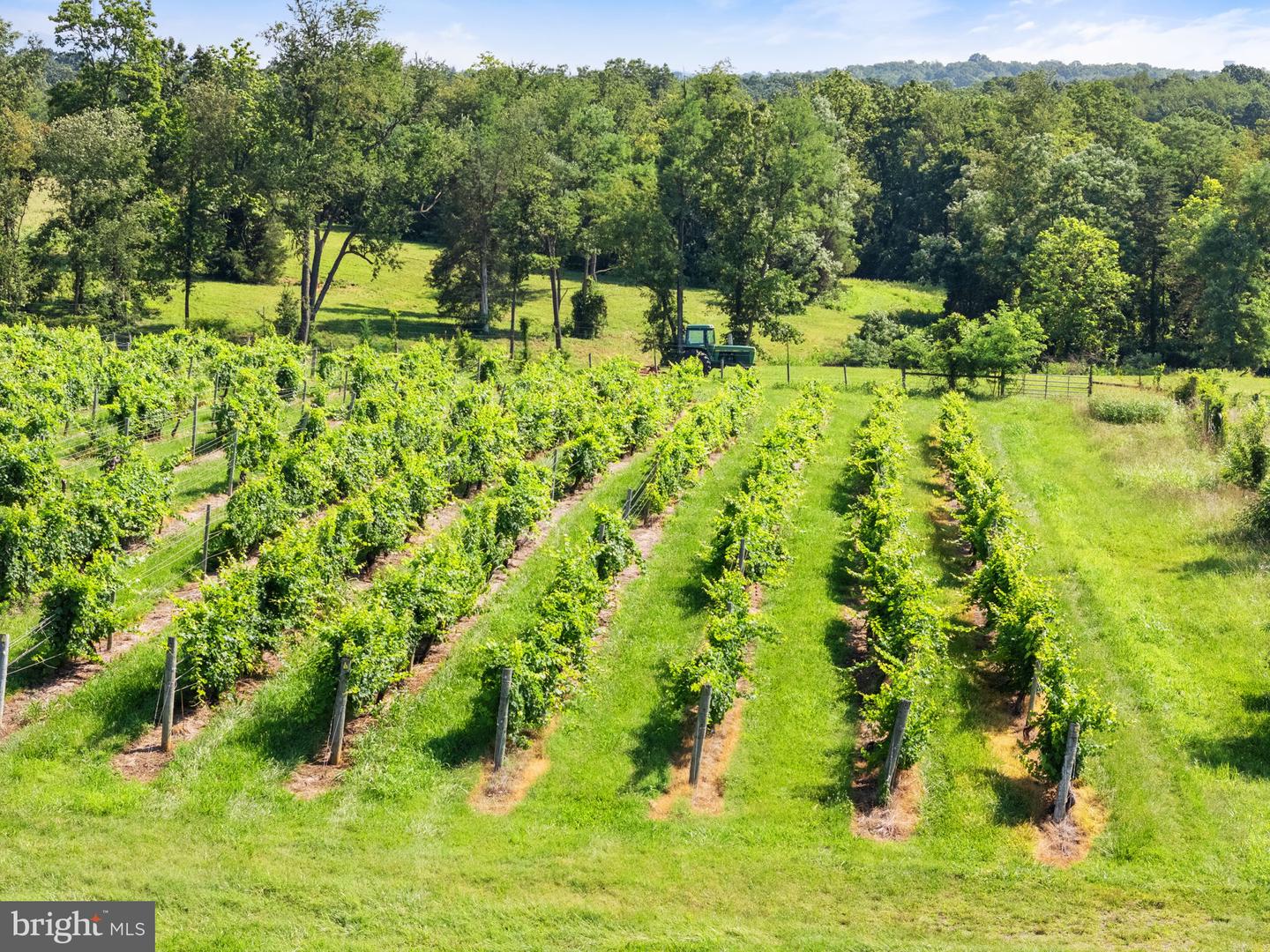 3659 S OX RD, EDINBURG, Virginia 22824, ,Land,For Sale,3659 S OX RD,VASH2012160 MLS # VASH2012160 3659 S OX RD, EDINBURG, Virginia 22824, ,Land,For Sale,3659 S OX RD,VASH2012160 MLS # VASH2012160