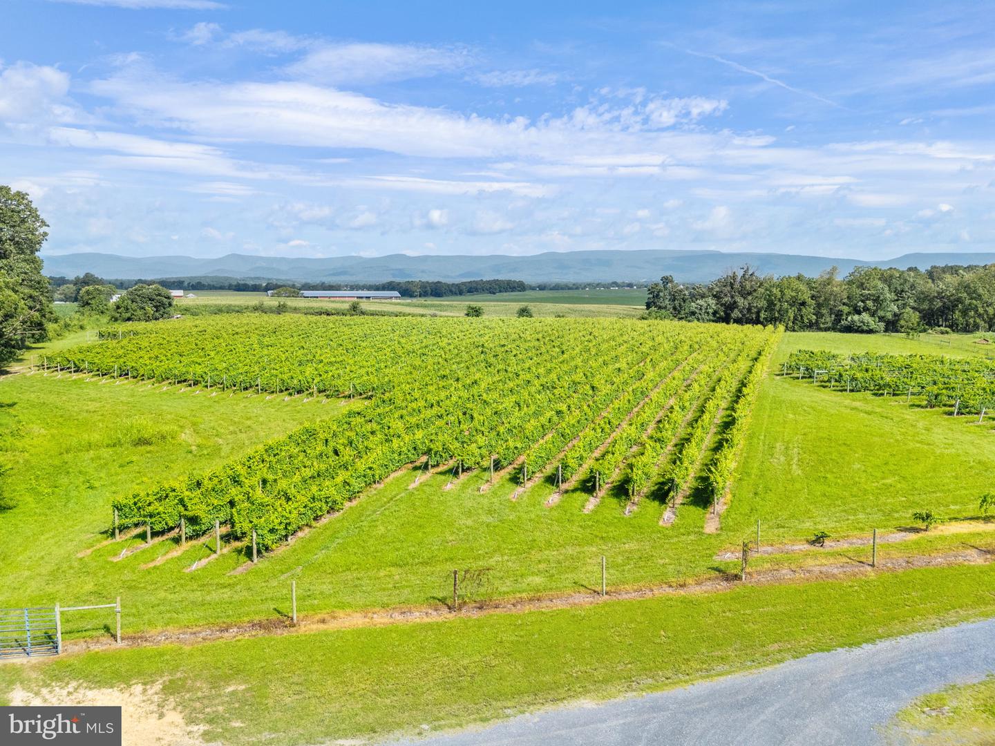 3659 S OX RD, EDINBURG, Virginia 22824, ,Land,For Sale,3659 S OX RD,VASH2012160 MLS # VASH2012160 3659 S OX RD, EDINBURG, Virginia 22824, ,Land,For Sale,3659 S OX RD,VASH2012160 MLS # VASH2012160