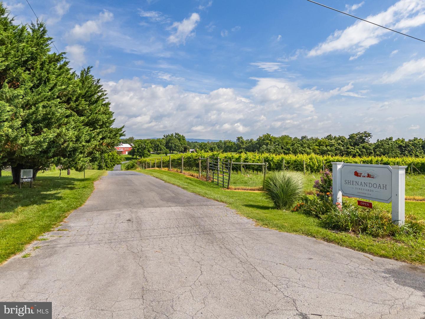 3659 S OX RD, EDINBURG, Virginia 22824, ,Land,For Sale,3659 S OX RD,VASH2012160 MLS # VASH2012160 3659 S OX RD, EDINBURG, Virginia 22824, ,Land,For Sale,3659 S OX RD,VASH2012160 MLS # VASH2012160