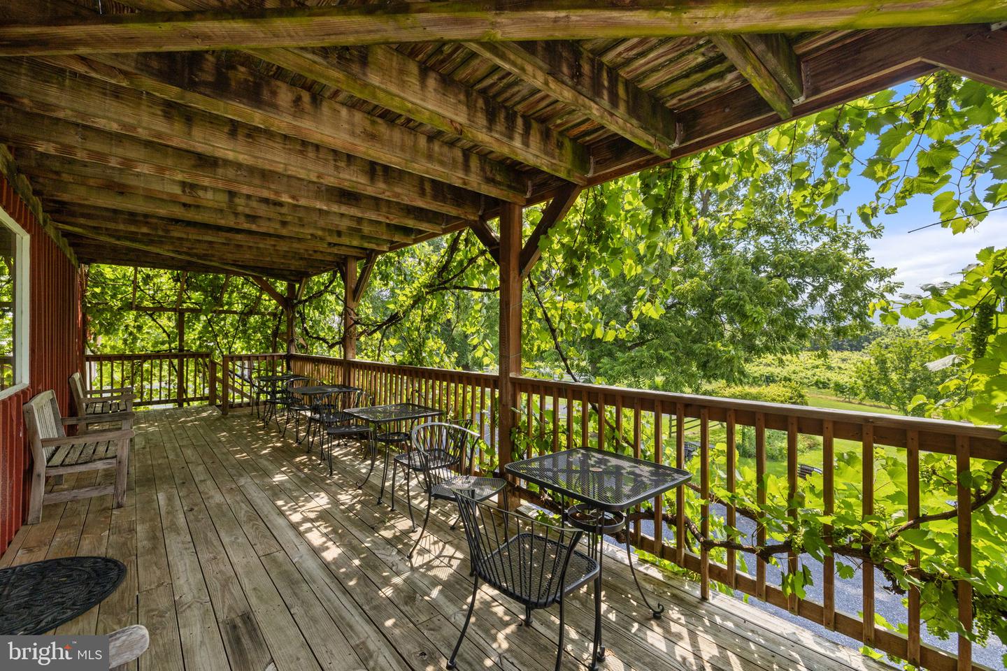 3659 S OX RD, EDINBURG, Virginia 22824, ,Land,For Sale,3659 S OX RD,VASH2012160 MLS # VASH2012160 3659 S OX RD, EDINBURG, Virginia 22824, ,Land,For Sale,3659 S OX RD,VASH2012160 MLS # VASH2012160