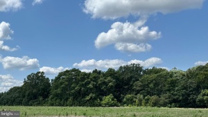 LOT 26 SALEM CHURCH RD, KING GEORGE, Virginia 22485, ,Land,For Sale,LOT 26 SALEM CHURCH RD,VAKG2006848 MLS # VAKG2006848