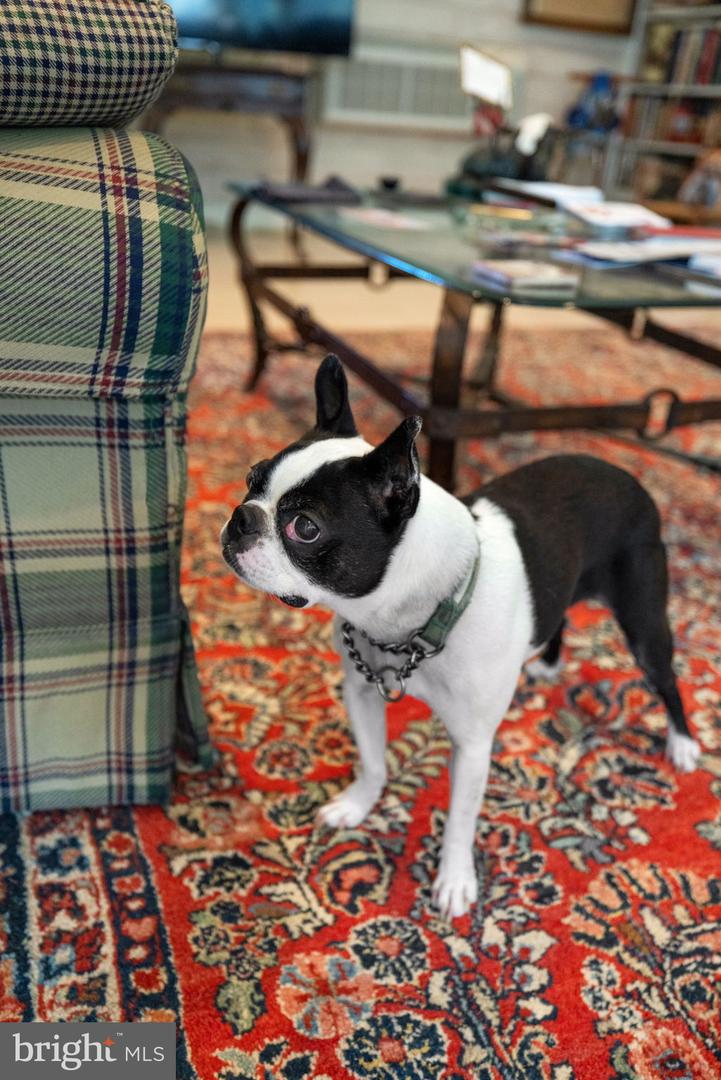 961 SUMMERVILLE RD, BOYCE, Virginia 22620, 3 Bedrooms Bedrooms, ,3 BathroomsBathrooms,Residential,For Sale,961 SUMMERVILLE RD,VACL2003894 MLS # VACL2003894