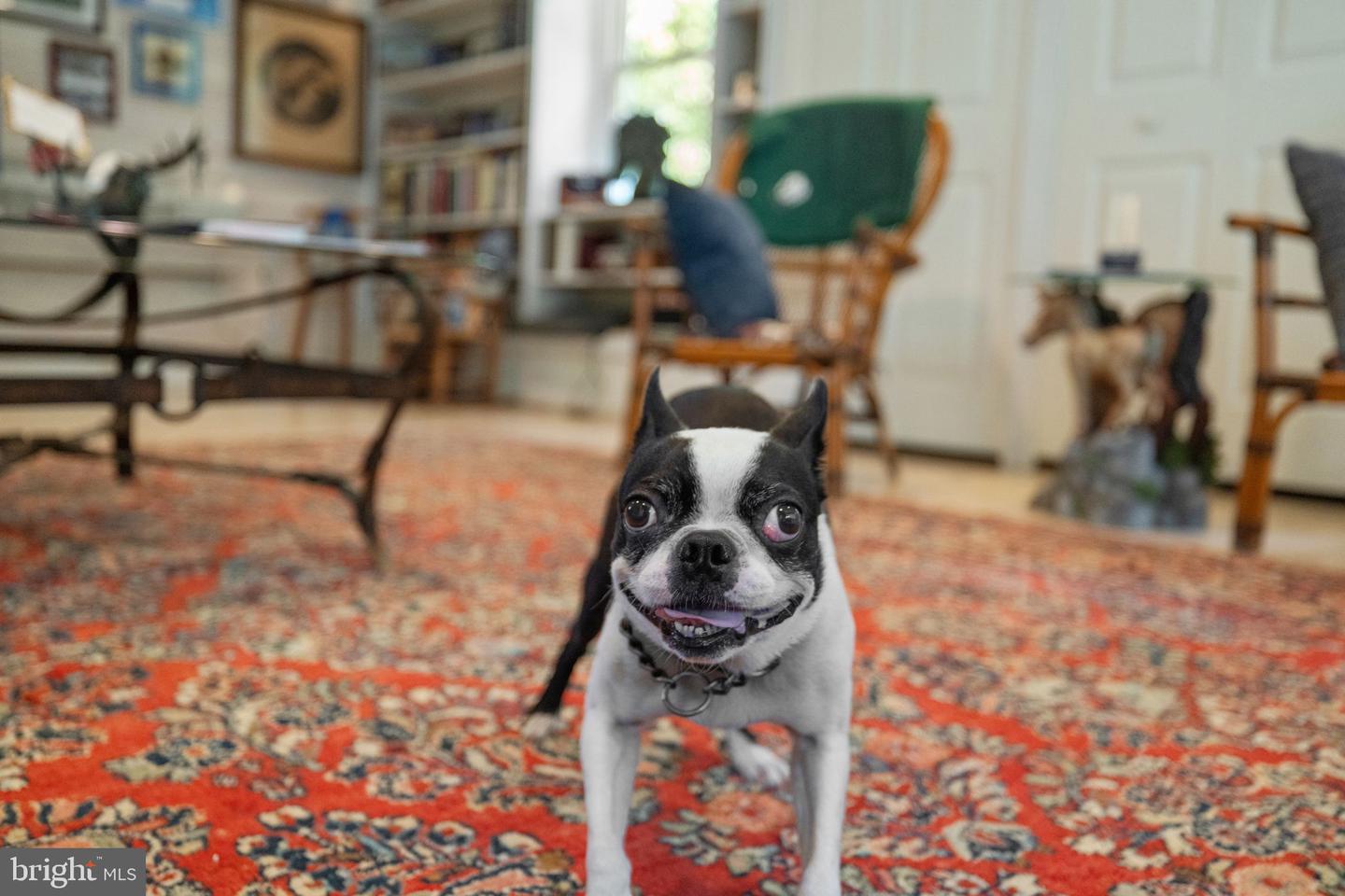 961 SUMMERVILLE RD, BOYCE, Virginia 22620, 3 Bedrooms Bedrooms, ,3 BathroomsBathrooms,Residential,For Sale,961 SUMMERVILLE RD,VACL2003894 MLS # VACL2003894