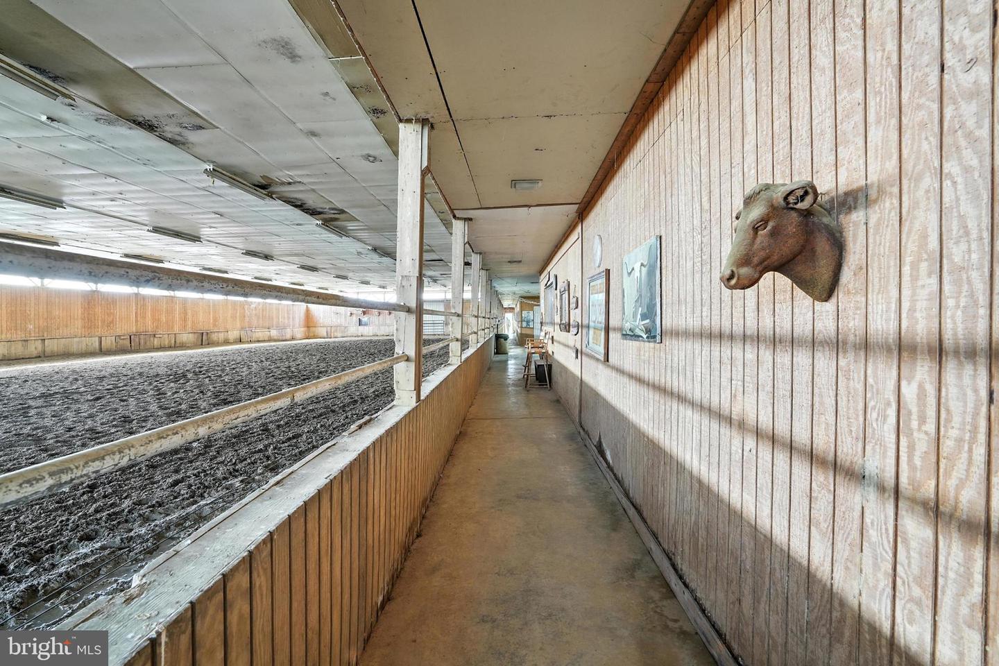 3637 MILLWOOD RD, BOYCE, Virginia 22620, 4 Bedrooms Bedrooms, ,3 BathroomsBathrooms,Residential,For Sale,3637 MILLWOOD RD,VACL2005932 MLS # VACL2005932