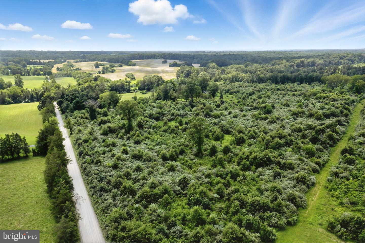 18172 YOUNGS LN, ELKWOOD, Virginia 22718, 3 Bedrooms Bedrooms, ,1 BathroomBathrooms,Residential,For Sale,18172 YOUNGS LN,VACU2011212 MLS # VACU2011212