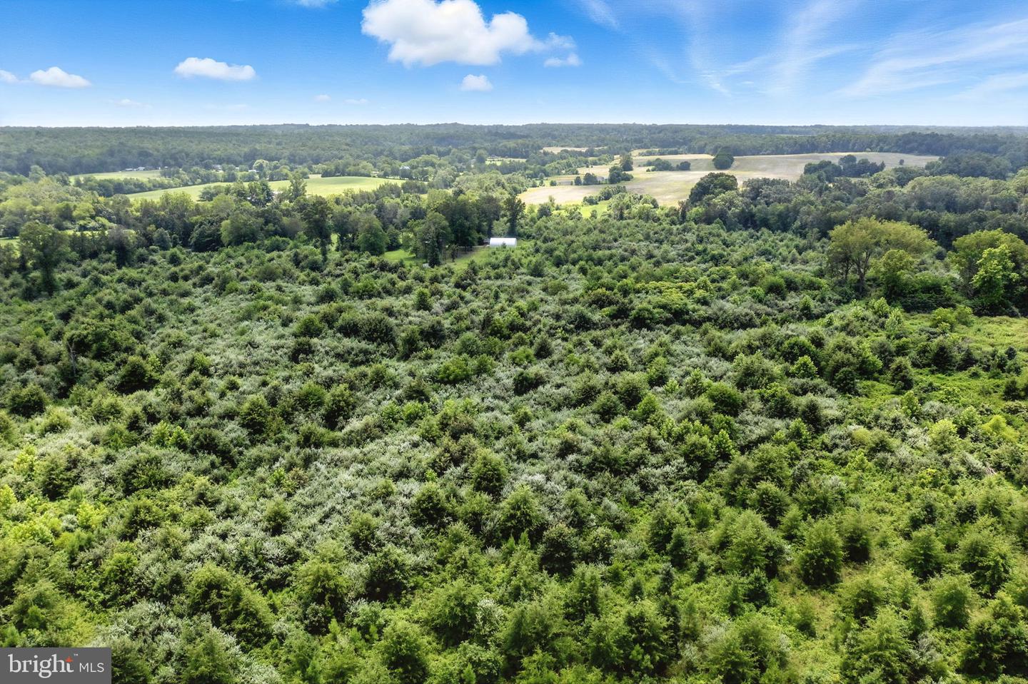 18172 YOUNGS LN, ELKWOOD, Virginia 22718, 3 Bedrooms Bedrooms, ,1 BathroomBathrooms,Residential,For Sale,18172 YOUNGS LN,VACU2011212 MLS # VACU2011212