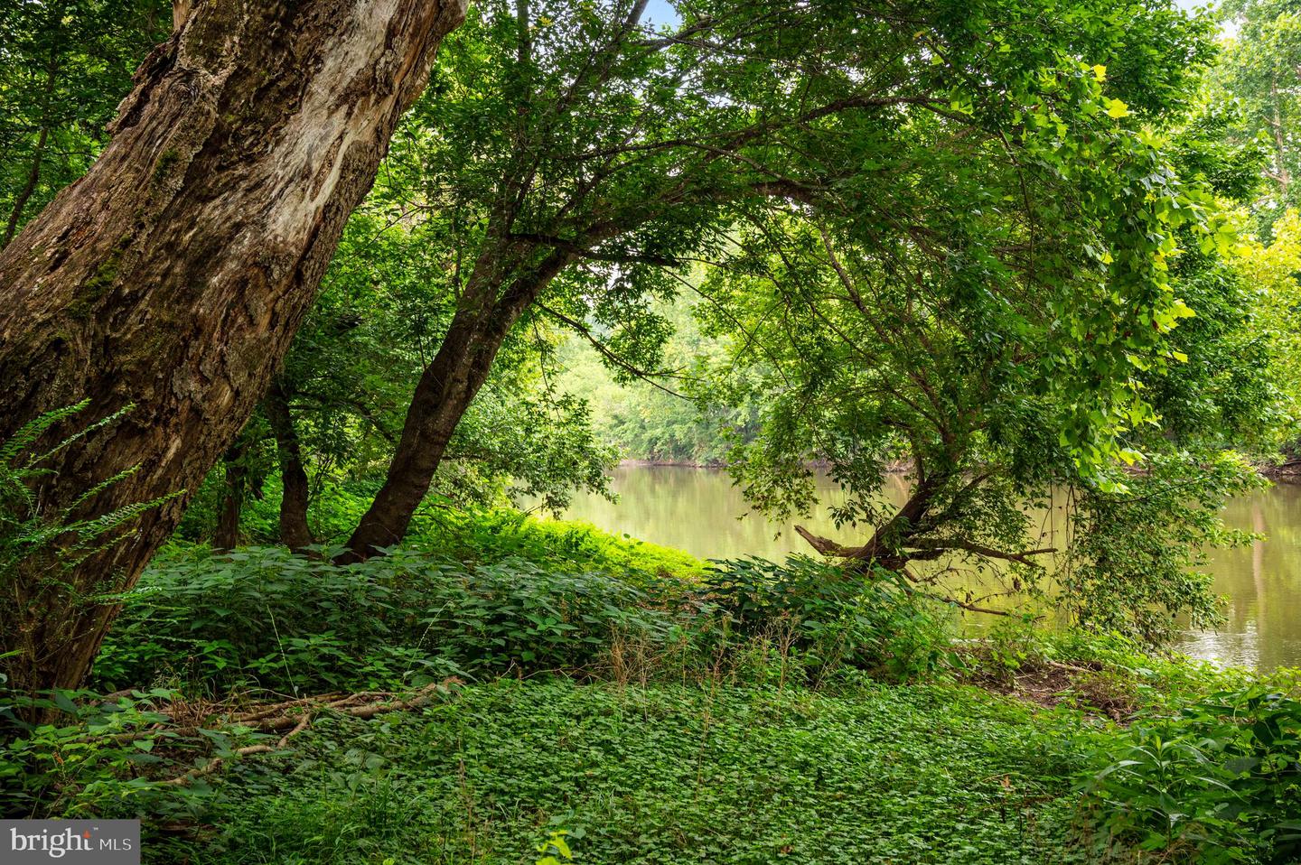 LOT 46A STRASBURG RD, FRONT ROYAL, Virginia 22630, ,Land,For Sale,LOT 46A STRASBURG RD,VAWR2011934 MLS # VAWR2011934 LOT 46A STRASBURG RD, FRONT ROYAL, Virginia 22630, ,Land,For Sale,LOT 46A STRASBURG RD,VAWR2011934 MLS # VAWR2011934